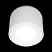 10219 White 4000K Потолочный светильник LOFT IT Tictac - фото