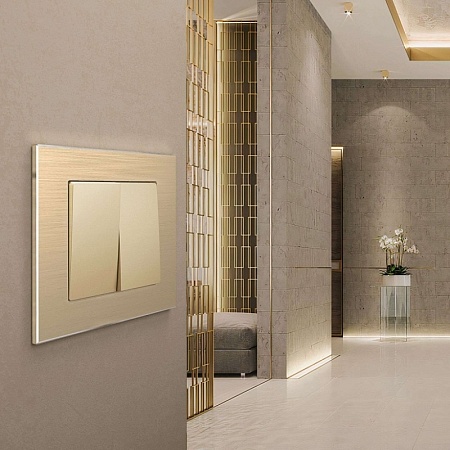 Рамка из металла на 1 пост Аluminium шампань алюминий W0011711 - фото