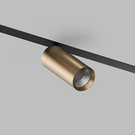 Светильник на шине Denkirs SMART SPOT DK8020-BG - фото