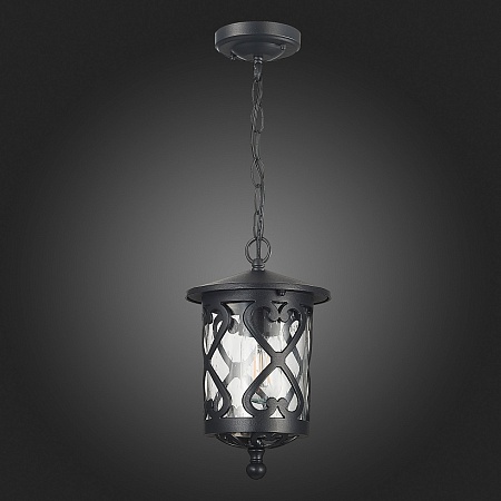 Светильник уличный подвесной ST-Luce Черный/Черный, Прозрачный E27 1*60W SL085.403.01 - фото