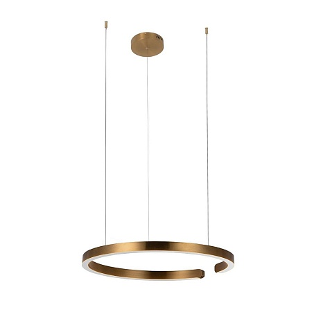 10013L Подвесной светильник LOFT IT Ring - фото