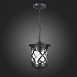 Светильник уличный подвесной ST-Luce Черный/Черный, Прозрачный E27 1*60W SL085.403.01 - фото