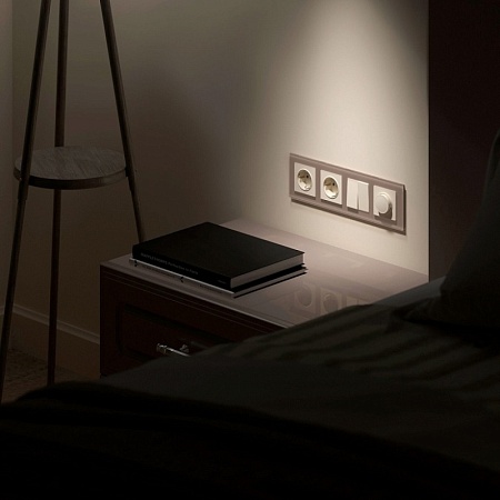 Рамка из стекла на 4 поста Favorit латте W0041142 - фото