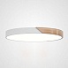 Потолочный Светильник Clip White D50 Imperiumloft 193049-26 - фото