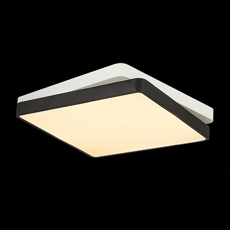Светильник потолочный Черный, Белый/Белый LED 1*45W 3000K/4000K/6000K SLE200712-01 - фото