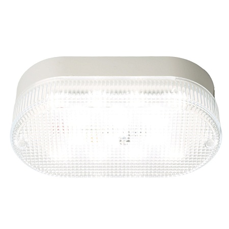 Светодиодный светильник серии TR  Овал 12Вт, 4000К, призма, IP53 - фото