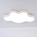 Потолочный Светильник Cloud Eco D83 White Imperiumloft 189502-26 - фото