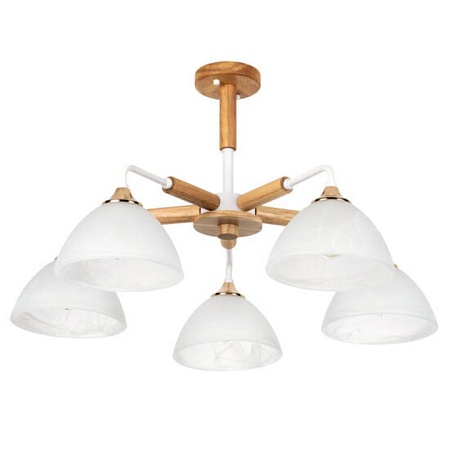 Потолочная люстра ARTE LAMP A5032PL-5BR - фото