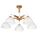 Потолочная люстра ARTE LAMP A5032PL-5BR - фото