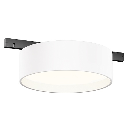 Трековый светильник Technical Zon TR189-1-12W4K-BW - фото