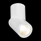 Светильник потолочный Белый LED 1*10W 3000K 800Lm Ra&gt;90 38° IP44 D62xH151 165-265V ST650.532.10