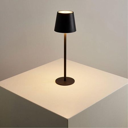 Уличный настольный светильник Arte Lamp FUYUE A1614LT-1BK - фото