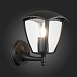 Светильник уличный настенный ST-Luce Черный/Черный, Прозрачный E27 1*40W SL081.401.01 - фото