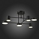 Светильник потолочный Черный/Черный LED 6*7W 4000K SLE201042-06 - фото