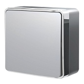Выключатель одноклавишный Gallant серебряный W5010006
