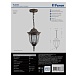 Светильник садово-парковый Feron PL6305 шестигранный на цепочке 60W E27 230V, черное золото - фото