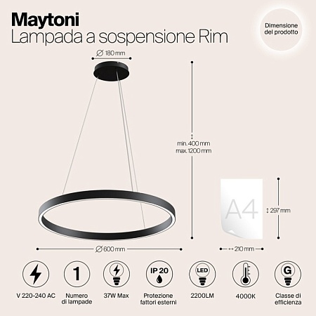 Подвесной светильник Maytoni Rim MOD058PL-L32B4K - фото