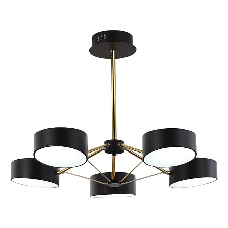 Светильник потолочный Черный, Золотистый/Черный LED 5*10W SLE6005-402-05 - фото