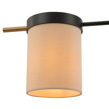 Потолочный светильник Freya Bogy FR5377CL-04B - фото