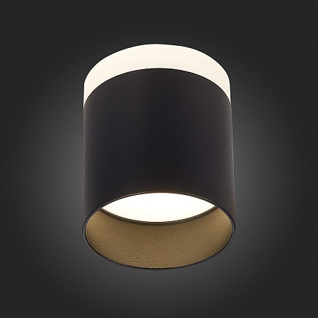 Светильник потолочный Черный LED 1*12W 4000K 936Lm Ra>80 120° IP20 D100xH90 170-240V ST102.442.12 - фото