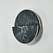 Бра Favourite 4600-1W - фото