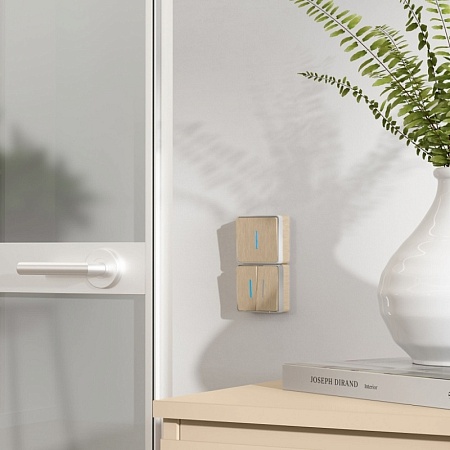 Выключатель одноклавишный с подсветкой Gallant (шампань рифленый) W5010110 - фото