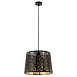 Подвесной светильник Arte Lamp CELESTA A2769SP-1BK - фото