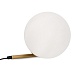 Настольный светильник Freya Blossom FR5259TL-01BS - фото