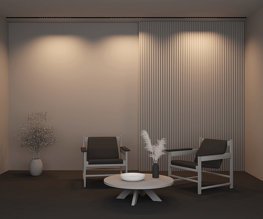 Трековый светильник Technical Points  TR174-1-24WTW-M-B - фото