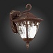 Светильник уличный настенный ST-Luce Кофейный/Кофейный, Прозрачный E27 1*60W SL083.701.01 - фото