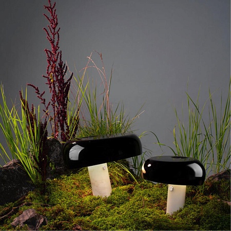 Декоративная настольная лампа Divinare 1083/06 TL-1 - фото