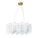Подвесная люстра Arte Lamp EVIE A4052SP-8SG - фото