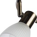 Спот Arte Lamp PARRY A5062PL-3AB - фото