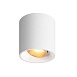 DK3090-WBR Светильник накладной, IP 20, 10 Вт, GU5.3, LED, белый/бронзовый, пластик - фото