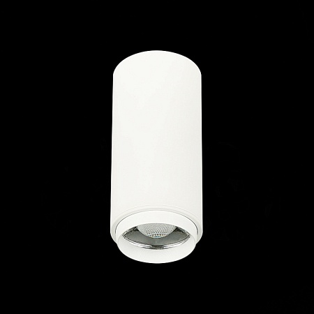 Светильник потолочный Zoom Белый LED 1*10W 4000K 1 000Lm Ra>80 15-60° IP20 D59xH130 170 ST600.542.10 - фото