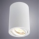 Точечный накладной светильник ARTE LAMP A1560PL-1WH - фото