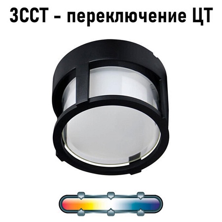 Уличный потолочный светильник Arte Lamp ULYSSES A6206PF-1BK - фото