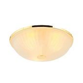Потолочный светильник F-Promo 2752-3C