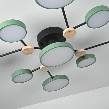 Потолочная Люстра Gamma D98 Green Imperiumloft 223772-23 - фото