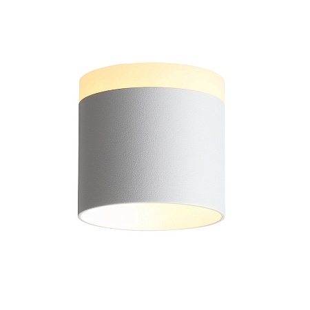 Светильник потолочный Белый LED 1*9W 3000K 702Lm Ra>80 120° IP20 D79xH75 170-240V ST102.502.09 - фото