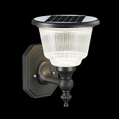Светильник уличный настенный ST-Luce Черный/Черный, Прозрачный LED 1*2W 3000-6000K SL9502.401.01