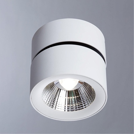 Спот Divinare URCHIN 1295/03 PL-1 - фото