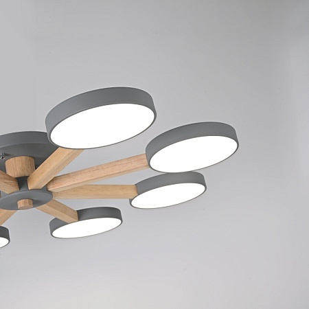 Потолочная Люстра Turna 8 Gray Imperiumloft 178342-26 - фото