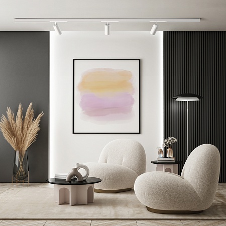 Светильник на шине Denkirs SMART SPOT DK8020-WH - фото