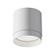 Потолочный светильник Technical Polar C088CL-GX53-W - фото