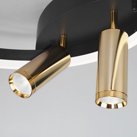 Потолочный светильник Eurosvet 90247/3 черный/золото Smart - фото