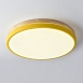 Потолочный Светильник Disc Dh D38 Yellow Imperiumloft 189900-26 - фото