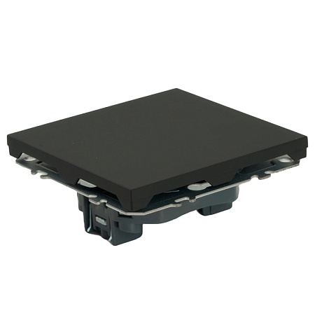 Заглушка (механизм), серия Эмили, черный уголь, soft touch, RST00-5116-05 - фото