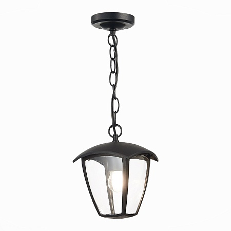 Светильник уличный подвесной ST-Luce Черный/Черный, Прозрачный E27 1*40W SL081.403.01 - фото