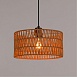 Подвесной светильник Arte Lamp BRUSHWOOD A7088SP-1BK - фото
